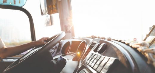 camionista lavoto usurante