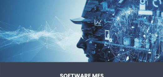 costo software mes