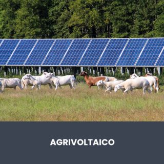 agri fotovoltaico
