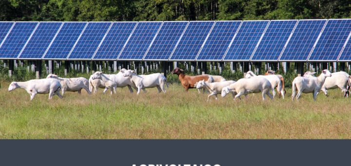 agri fotovoltaico