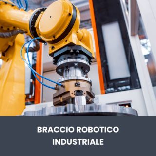 braccio robot industriale